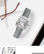 Cartier Santos De