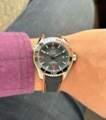 Omega Seamaster Planet Ocean